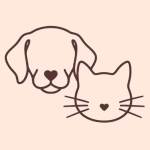 Kind Pet club_pet sitter and dog walker new malden
