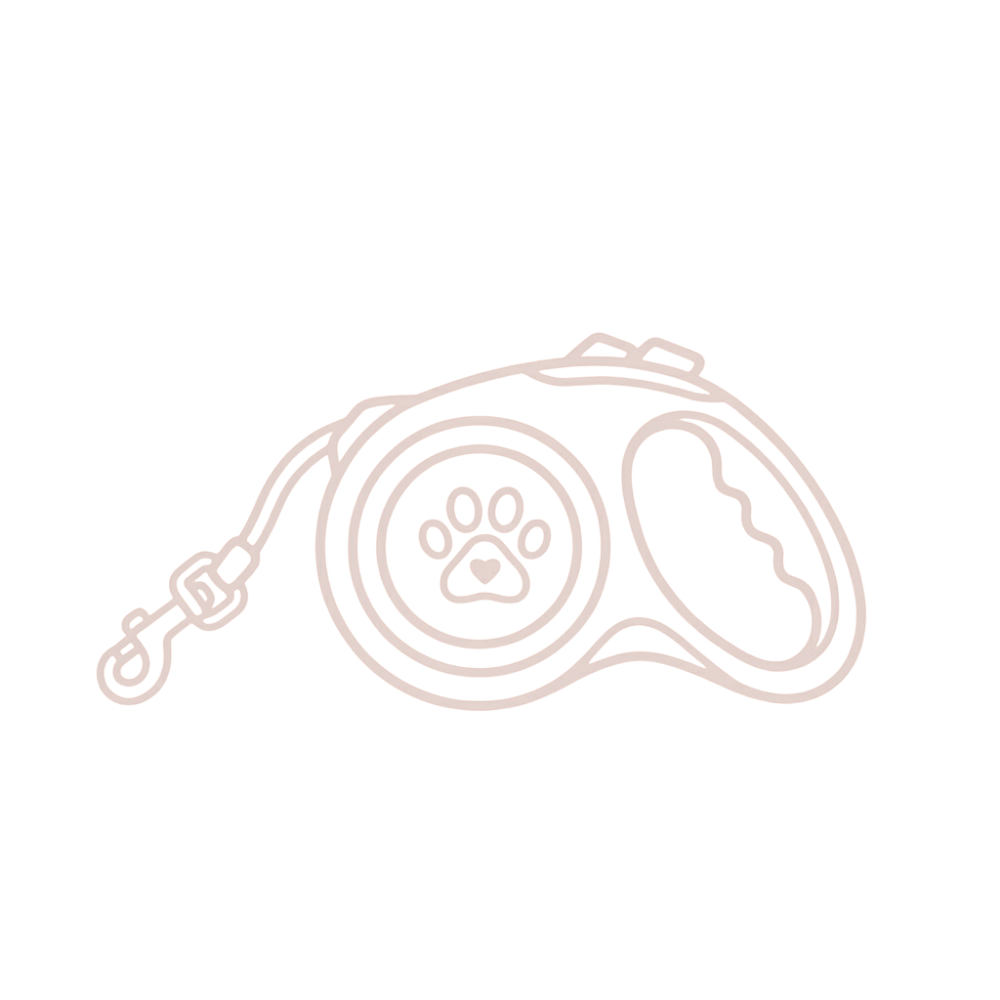 Dog walks in new malden on lead