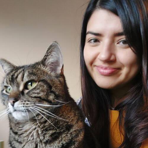 Isabella, cat sitter in new malden