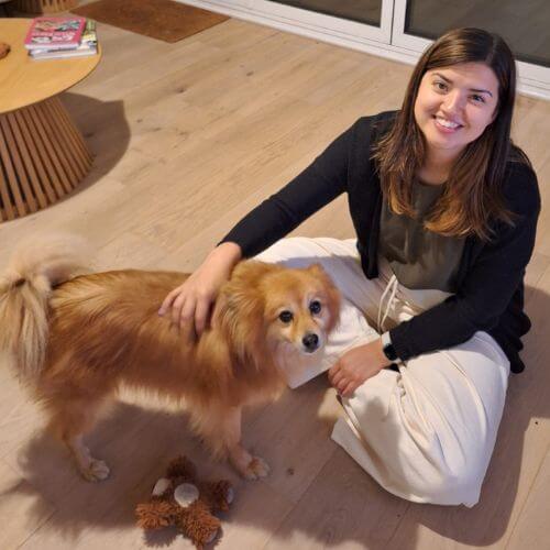dog sitter in new malden